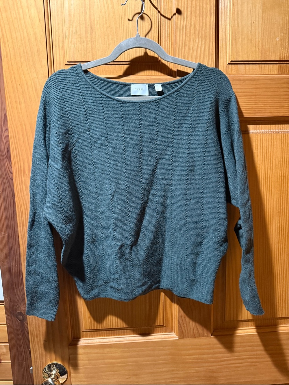 Cyrus Women's Slate Green Textured Crew Neck Sweater